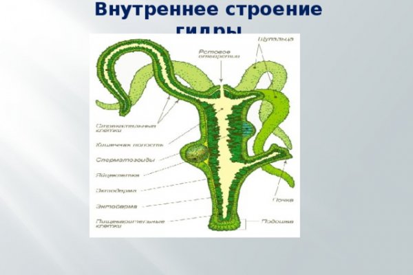 Блэкспрут телеграф